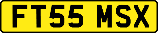 FT55MSX