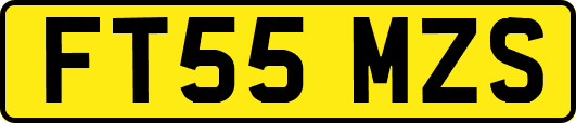 FT55MZS