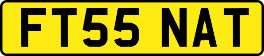 FT55NAT