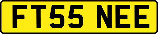 FT55NEE