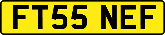 FT55NEF