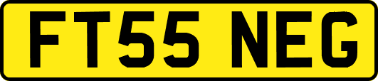 FT55NEG