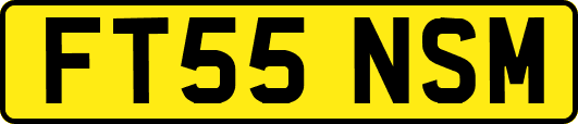 FT55NSM