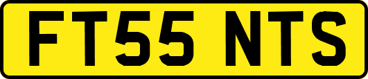 FT55NTS