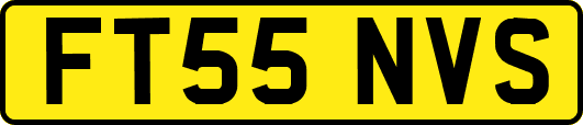 FT55NVS