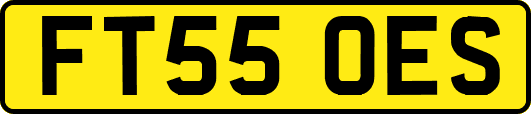 FT55OES