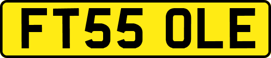 FT55OLE