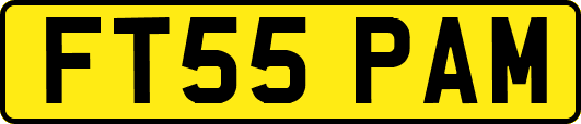 FT55PAM