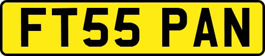 FT55PAN