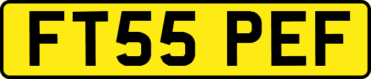FT55PEF