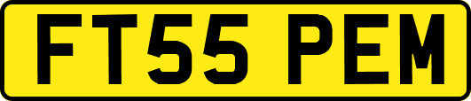 FT55PEM