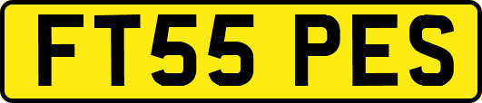 FT55PES