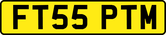 FT55PTM