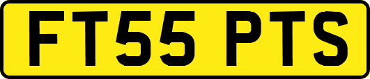 FT55PTS