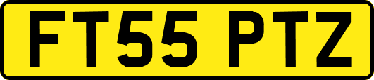 FT55PTZ