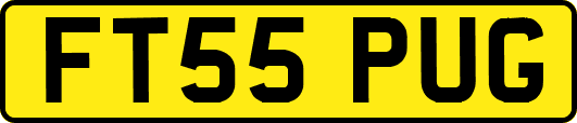 FT55PUG