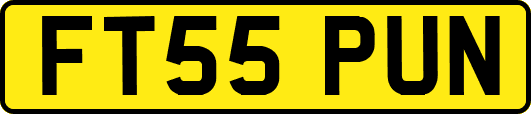 FT55PUN