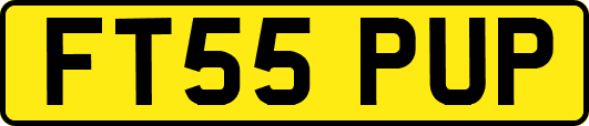 FT55PUP