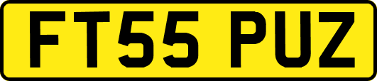 FT55PUZ