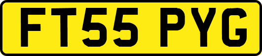 FT55PYG