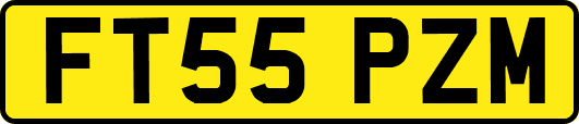 FT55PZM