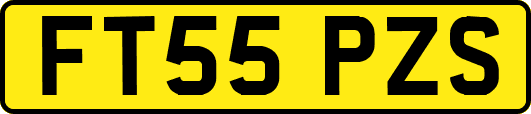 FT55PZS