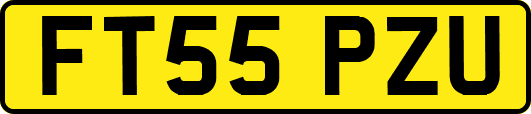 FT55PZU