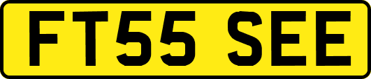 FT55SEE