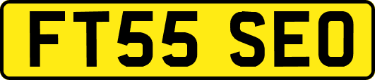 FT55SEO