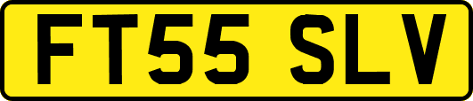 FT55SLV