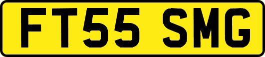 FT55SMG