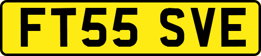 FT55SVE