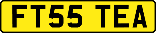 FT55TEA