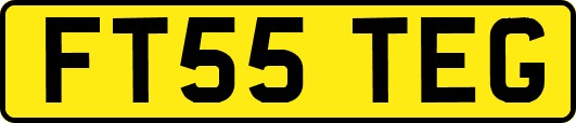 FT55TEG