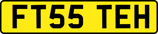 FT55TEH