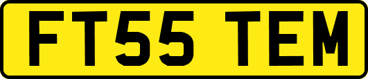FT55TEM