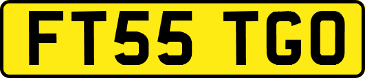 FT55TGO