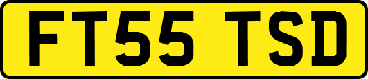 FT55TSD