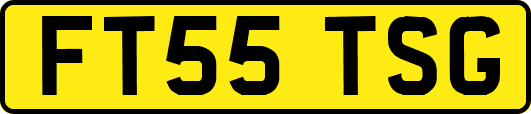 FT55TSG