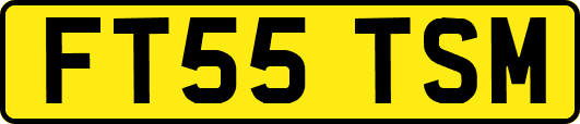FT55TSM