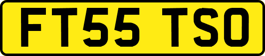 FT55TSO