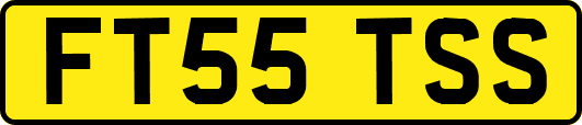 FT55TSS
