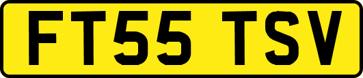 FT55TSV