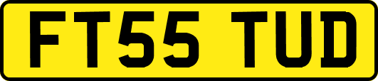 FT55TUD