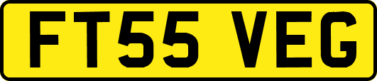FT55VEG