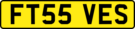 FT55VES