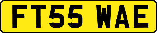 FT55WAE