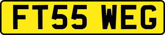 FT55WEG