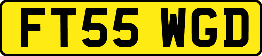 FT55WGD