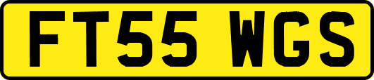 FT55WGS
